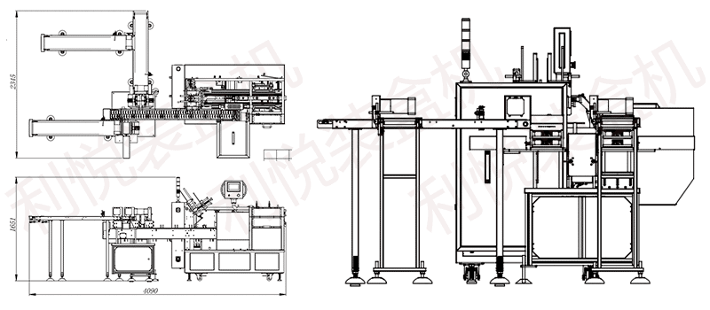 LY200-2 TWO-IN-ONE COUNTING AND CARTONING MACHINE