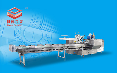 LY500D corrugated carton cartoning machine