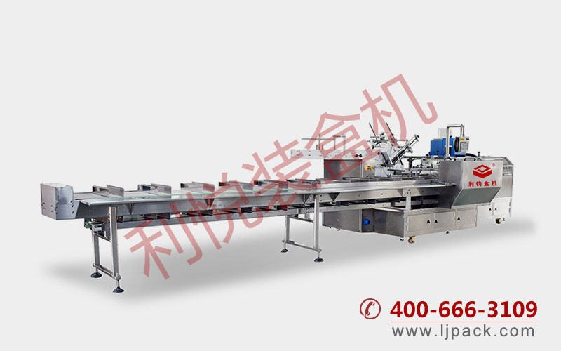 LY500D CORRUGATED CARTON CARTONING MACHINE