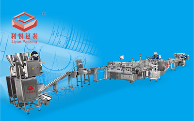 LY300F AUTOMATIC CARTONING PRODUCTION LINE FOR BAR-SHAPED PR