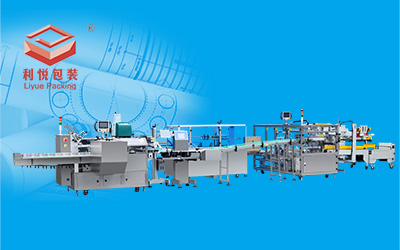 LY550WQ CARTONING AND CASE PACKING PRODUCTION LINE