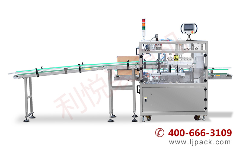 LY550WQ CARTONING AND CASE PACKING PRODUCTION LINE